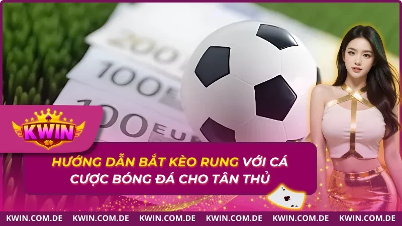 Hướng Dẫn Bắt Kèo Rung Với Cá Cược Bóng Đá Cho Tân Thủ 2025